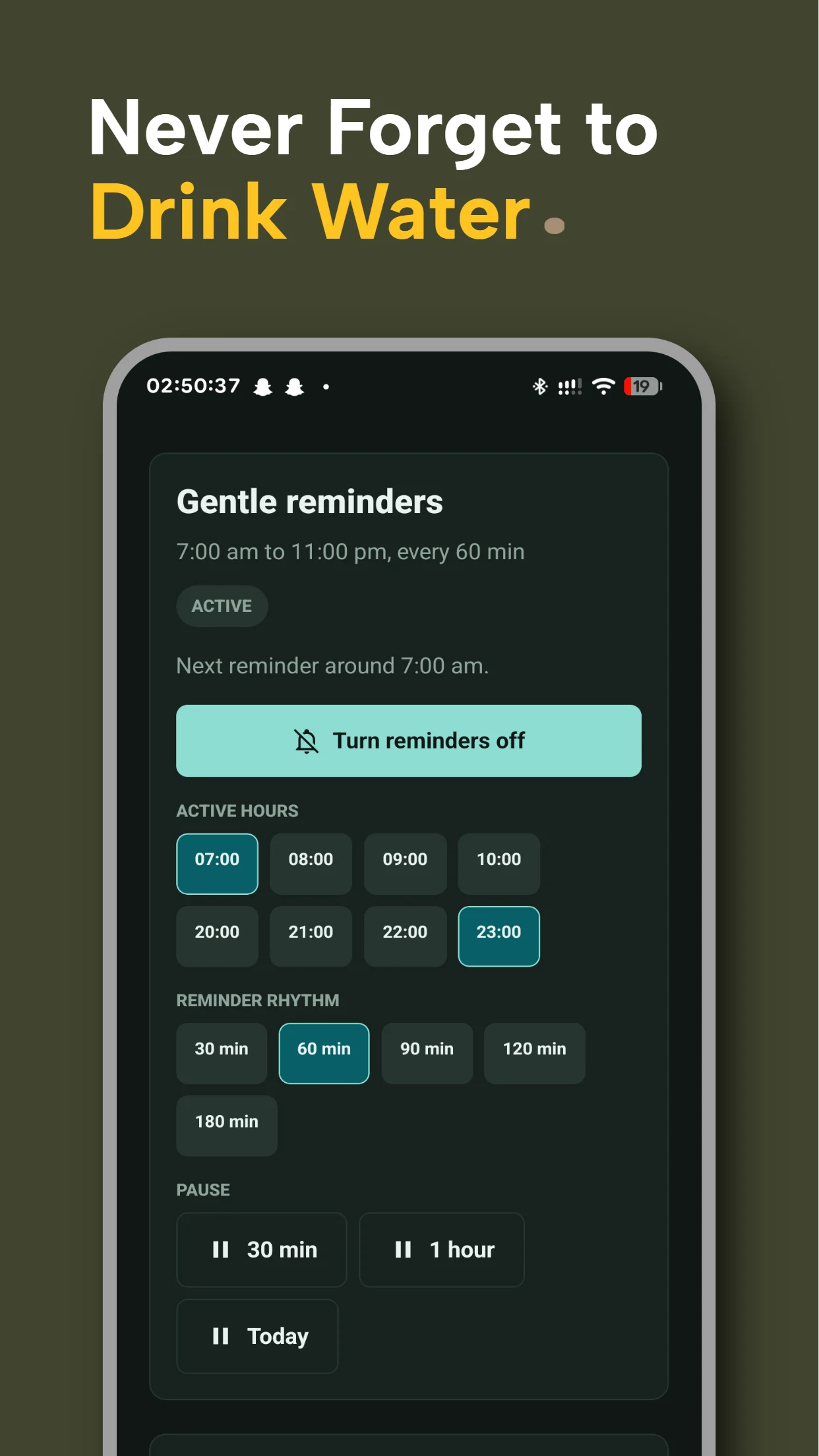 Reminder settings screen showing active reminder hours, reminder rhythm and pause controls.